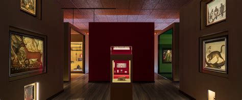 fondazione prada wunderkammer|The Wes Anderson exhibition at the Fondazione .